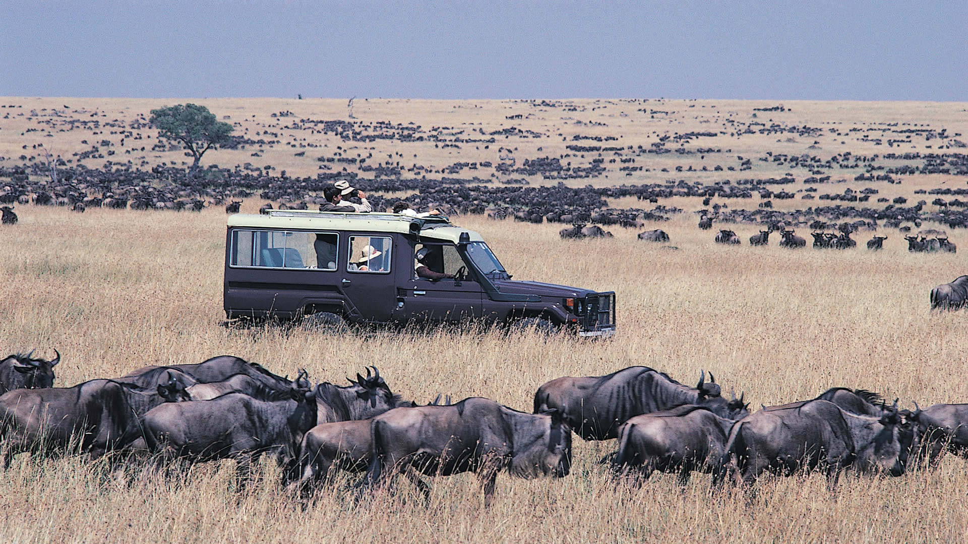 Depart for Maasai Mara National Reserve